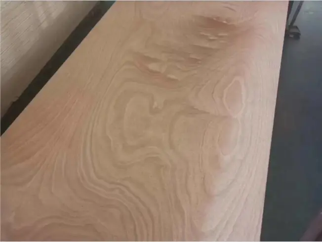 Commercial Plywood: A Versatile Panel Solution for Multi-Scenario Applications
